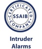 SSAIB intruder